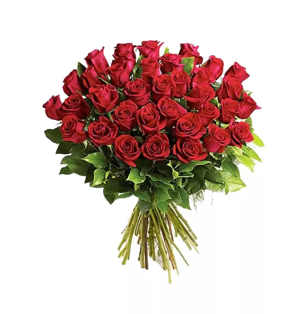 Blossoming Composition of Roses in Red Color