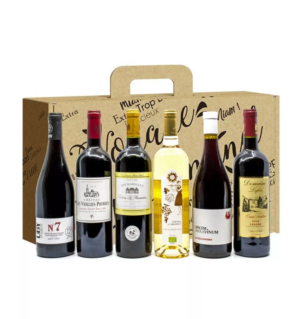 Wine Lover’s Delight: 6-Bottle Gift Set