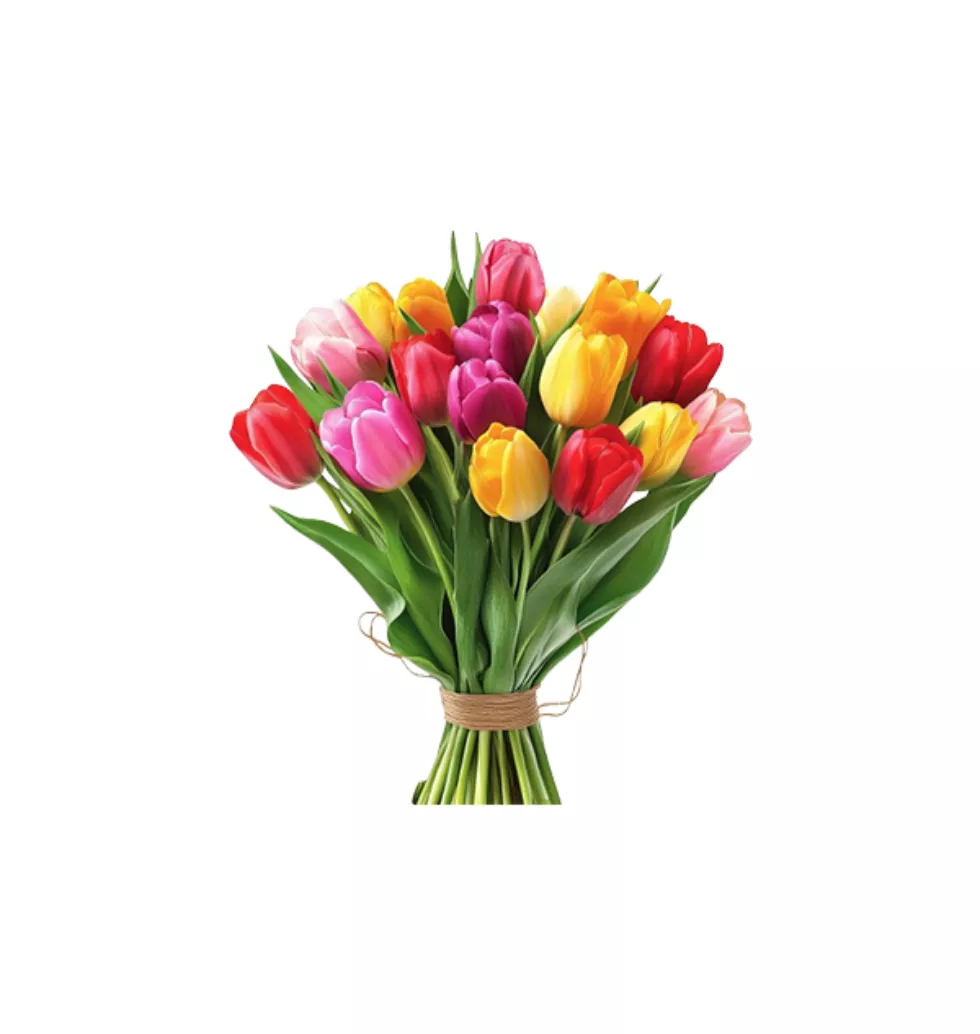 20 Colorful Tulip Delight