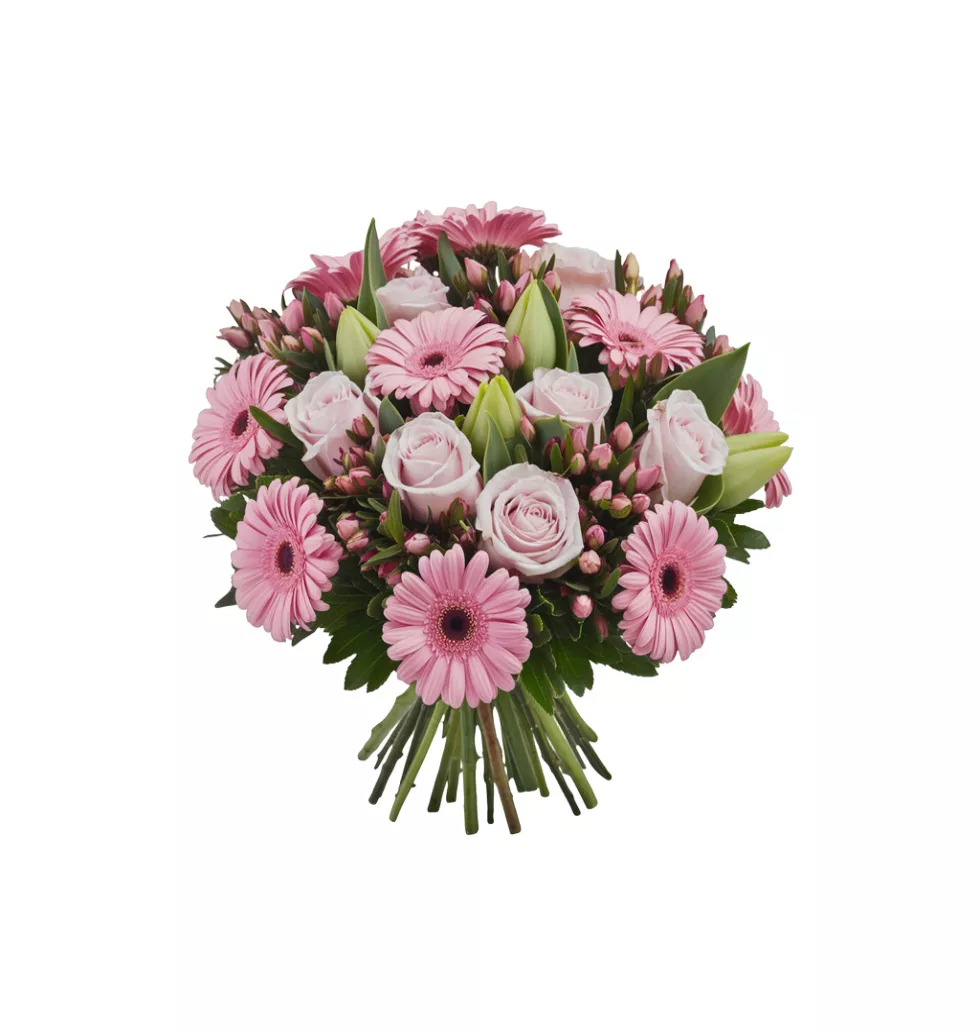 Delicate Pink Hues: Beguin Floral Delight