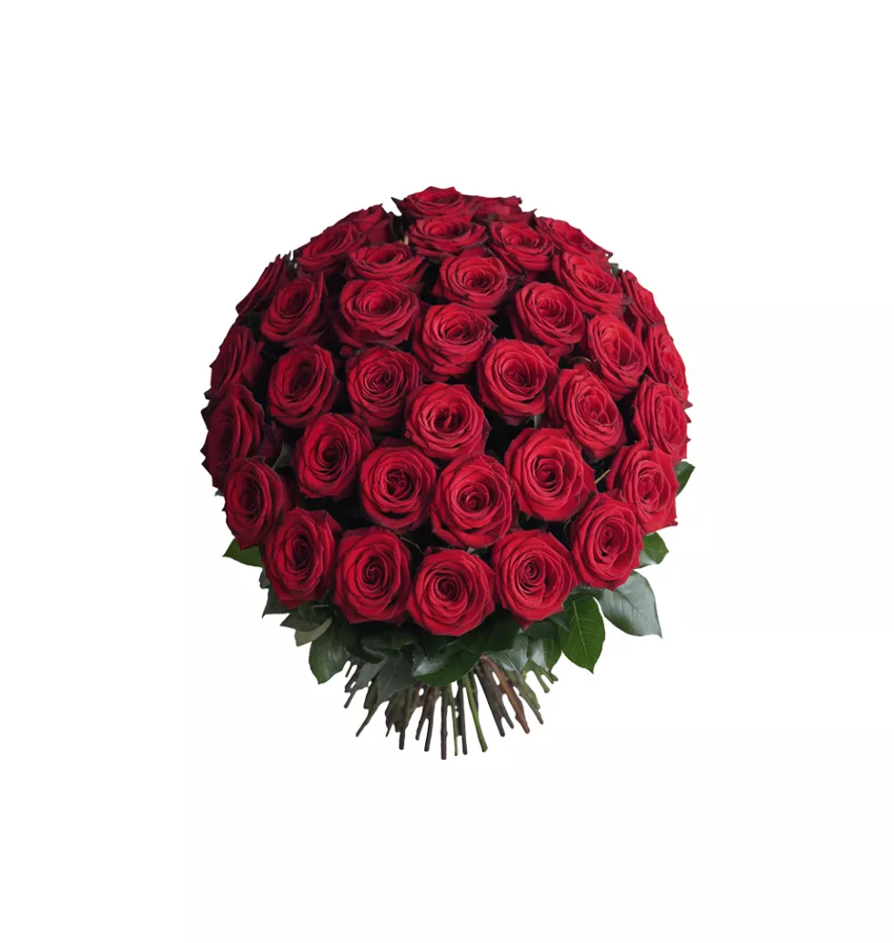 Pleasurable Bouquet Of 100 Red Rose