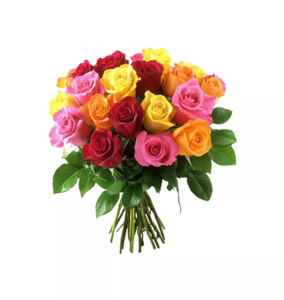 Joyful Blooms of 20 Colorful Roses Bouquet